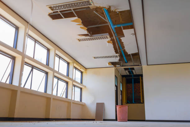Best Professional water damage repair  in Superior, CO