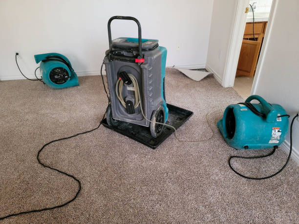 Best Water damage restoration near me  in Superior, CO