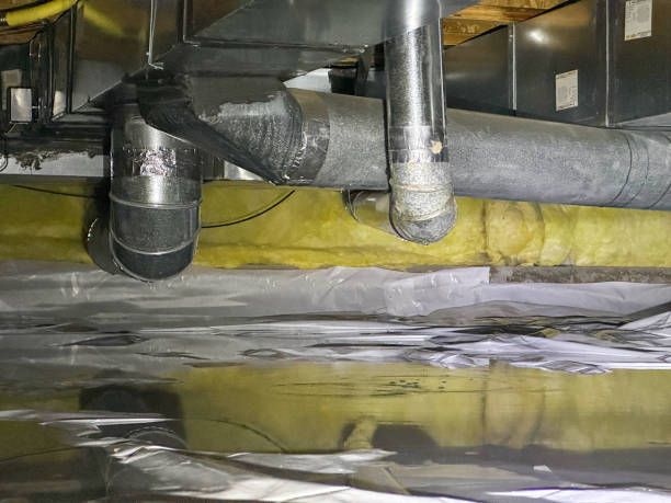 Best Mold removal after water damage  in Superior, CO