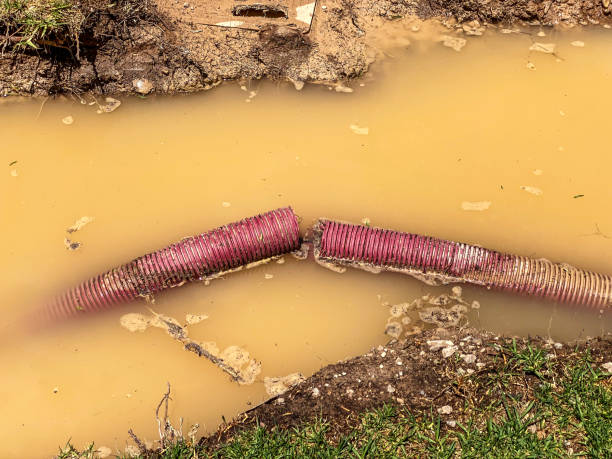 Best Basement water damage restoration  in Superior, CO